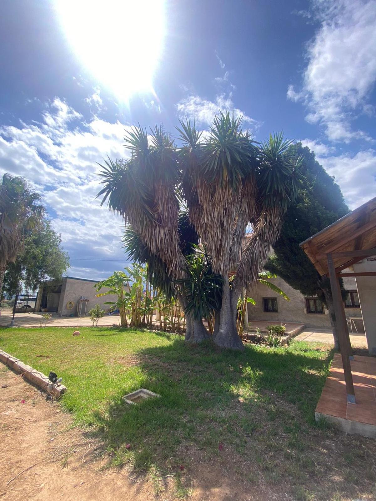 Los Almendros Torrenostra Exterior foto